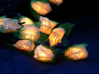 White Roses Wedding Fairy Lights_sml.jpg